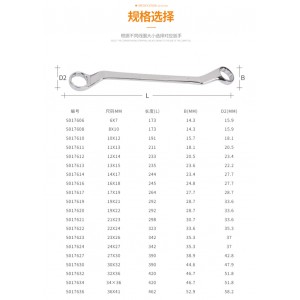 钢盾 S017636 公制精抛光双梅花扳手36x41mm